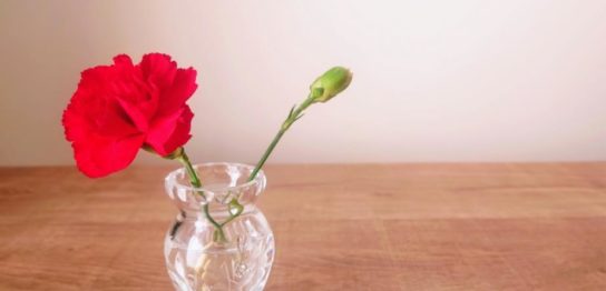 ボヘミアグラスの一輪挿し フリー素材